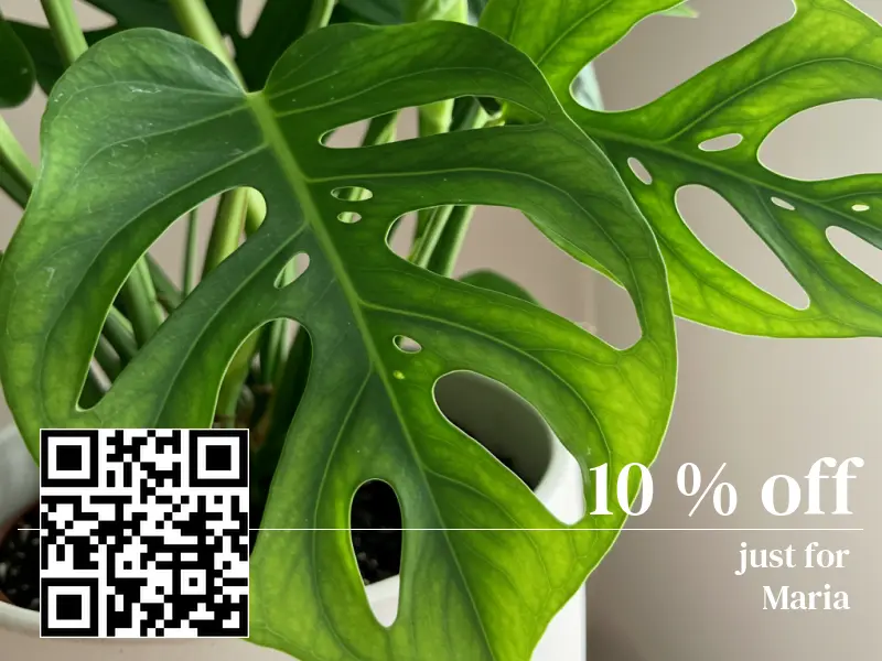 Run dynamic discount offers on all marketing campaigns